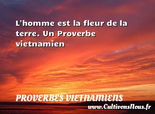 L’homme est la fleur de la terre. - Proverbes vietnamiens - Proverbes philosophiques