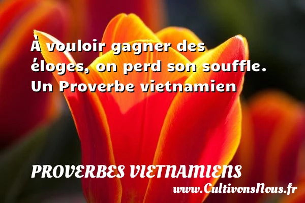 À vouloir gagner des éloges, on perd son - Proverbes vietnamiens - Proverbes philosophiques