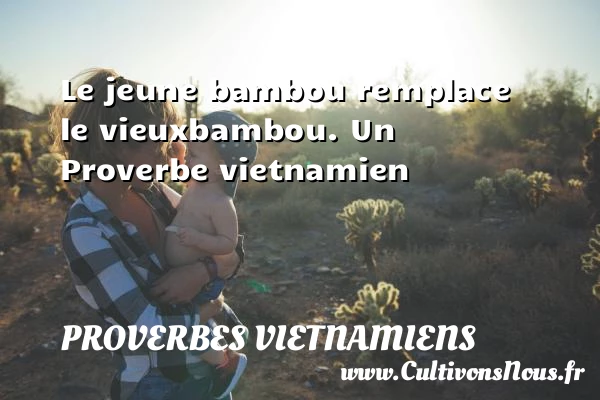 Le jeune bambou remplace le vieuxbambou. - Proverbes vietnamiens - Proverbes philosophiques