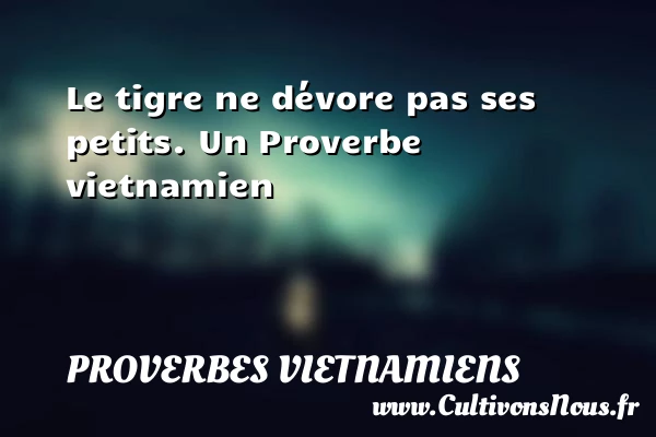 Le tigre ne dévore pas ses petits. - Proverbes vietnamiens - Proverbes philosophiques
