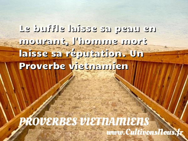 Le buffle laisse sa peau en mourant, l’homme - Proverbes vietnamiens - Proverbes philosophiques