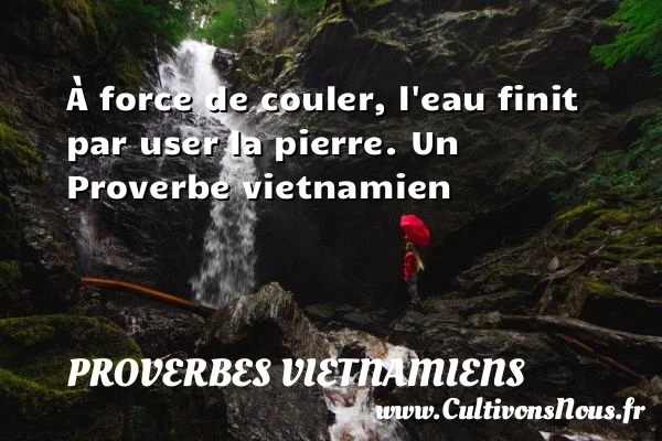 À force de couler, l’eau finit par user la - Proverbes vietnamiens - Proverbes philosophiques