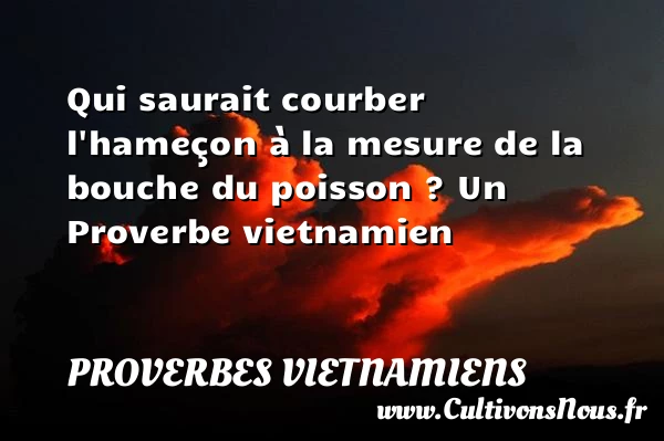 Qui saurait courber l’hameçon à la mesure de la bouche du poisson - Proverbes vietnamiens - Proverbes philosophiques