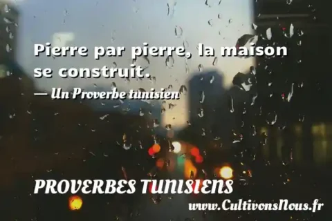 Pierre par pierre, la maison se construit. - Un Proverbe tunisien PROVERBES TUNISIENS