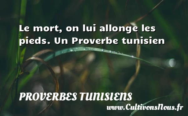 Le mort, on lui allonge les pieds. - Proverbes tunisiens - Proverbes fun