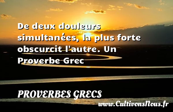 De deux douleurs simultanées, la plus forte obscurcit - Proverbes grecs - Proverbes fun - Proverbes philosophiques