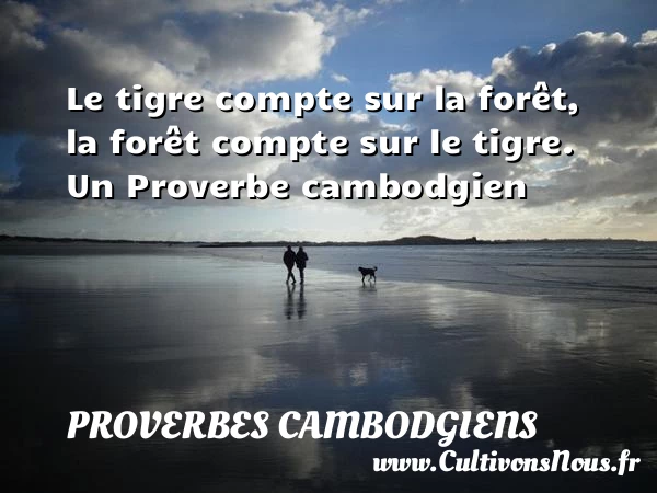 Le tigre compte sur la forêt, la forêt compte sur - Proverbes cambodgiens