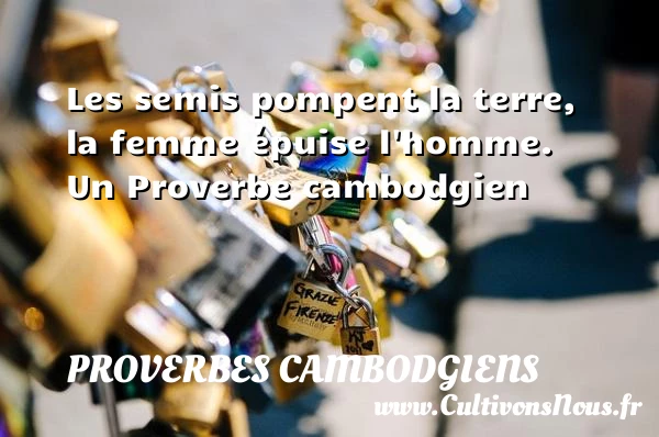 Les semis pompent la terre, la femme épuise - Proverbes cambodgiens