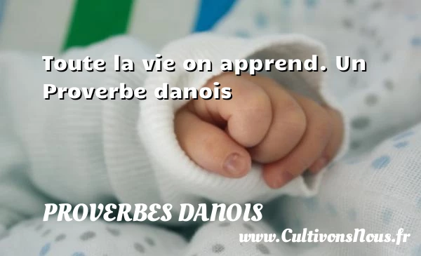 Toute la vie on apprend. - Proverbes danois - Proverbes philosophiques - Proverbes vie