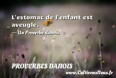 L estomac de l enfant est aveugle. - Un Proverbe danois PROVERBES DANOIS