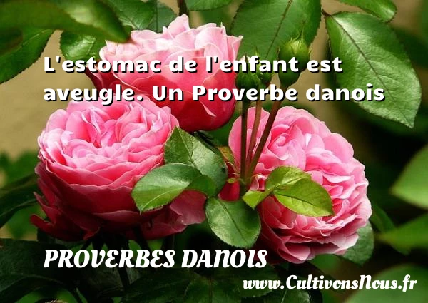 L’estomac de l’enfant est aveugle. - Proverbes danois - Proverbes Drôles - Proverbes fun - Proverbes philosophiques