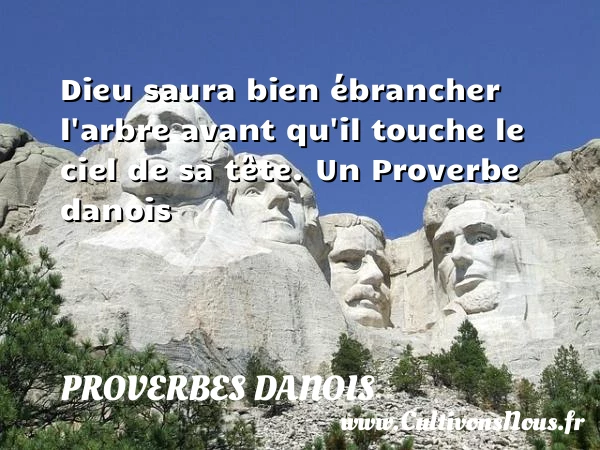 Dieu saura bien ébrancher l’arbre avant qu’il touche le ciel de - Proverbes danois - Proverbes philosophiques