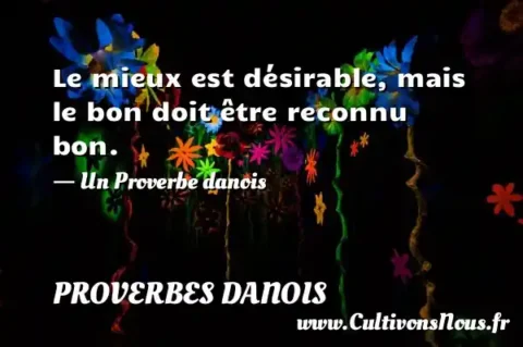 Le mieux est désirable, mais le bon doit être reconnu bon. - Un Proverbe danois PROVERBES DANOIS