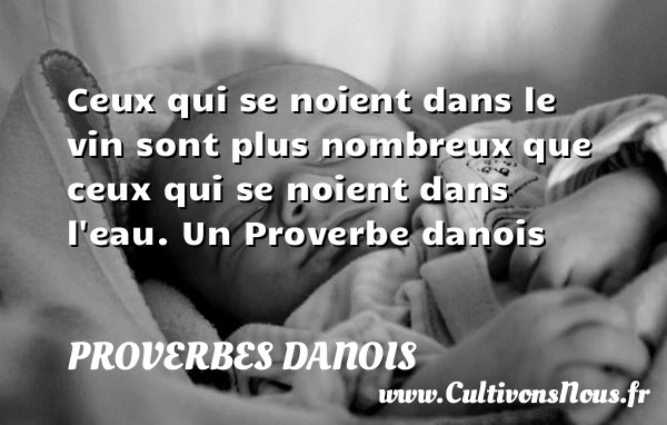 Ceux qui se noient dans le vin sont plus nombreux que ceux qui se - Proverbes danois - Proverbes philosophiques
