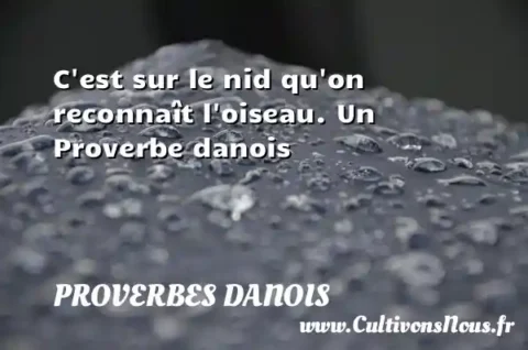 C est sur le nid qu on reconnaît l oiseau. Un Proverbe danois PROVERBES DANOIS