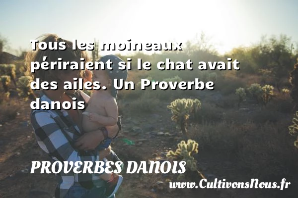 Tous les moineaux périraient si le chat avait des - Proverbes danois - Proverbes philosophiques