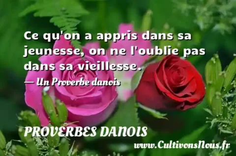 Ce qu on a appris dans sa jeunesse, on ne l oublie pas dans sa vieillesse. - Un Proverbe danois PROVERBES DANOIS