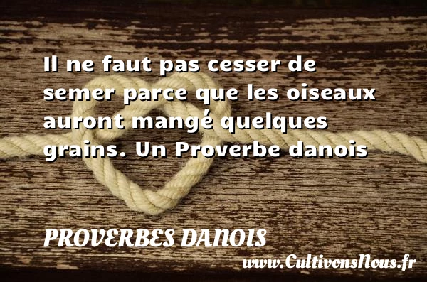 Il ne faut pas cesser de semer parce que les oiseaux auront mangé quelques - Proverbes danois - Proverbes philosophiques