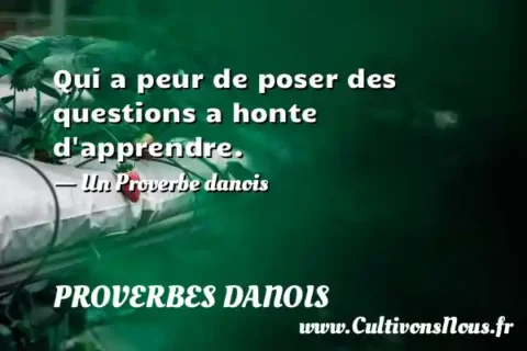 Qui a peur de poser des questions a honte d apprendre. - Un Proverbe danois PROVERBES DANOIS