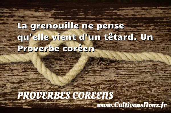 La grenouille ne pense qu’elle vient d’un têtard. - Proverbes coreens - Proverbes fun - Proverbes philosophiques