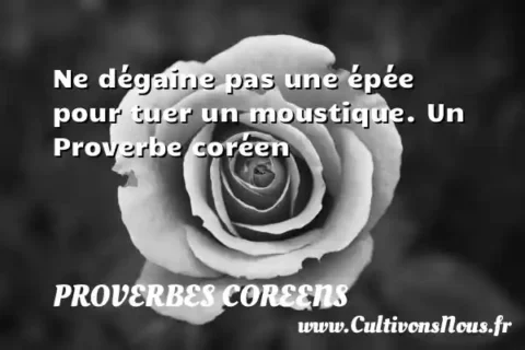 Ne dégaine pas une épée pour tuer un moustique. Un Proverbe coréen PROVERBES COREENS