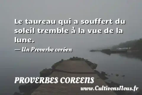 Le taureau qui a souffert du soleil tremble à la vue de la lune. - Un Proverbe coréen PROVERBES COREENS