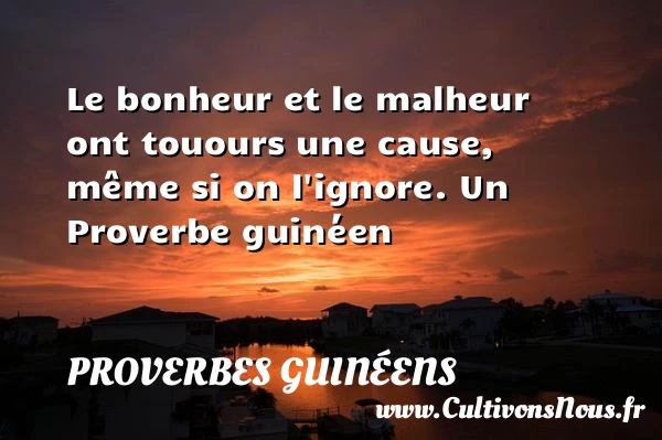 Le bonheur et le malheur ont touours une cause, même - proverbes guinéens - Proverbe bonheur