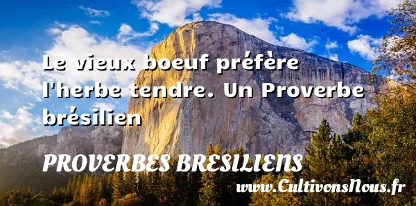 Le vieux boeuf préfère l’herbe tendre. - Proverbes bresiliens - Proverbes fun