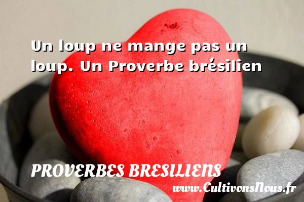 Un loup ne mange pas un loup. - Proverbes bresiliens