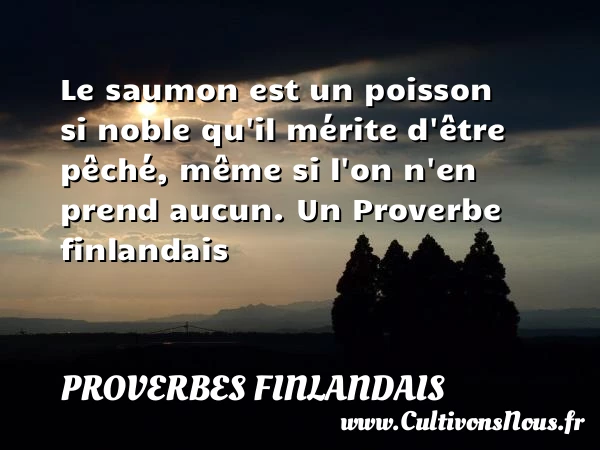 Le saumon est un poisson si noble qu’il mérite - Proverbes finlandais - Proverbes Drôles - Proverbes philosophiques