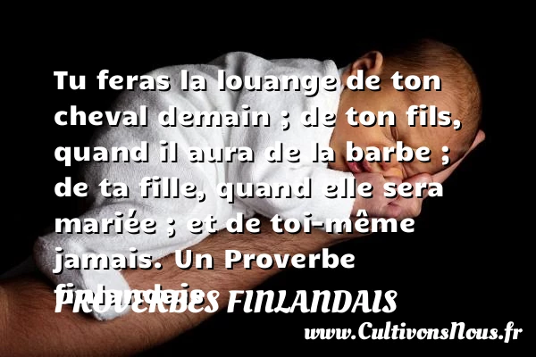 Tu feras la louange de ton cheval demain - Proverbes finlandais