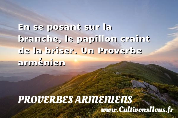 En se posant sur la branche, le papillon craint de la - Proverbes armeniens - Proverbes connus - Proverbes philosophiques