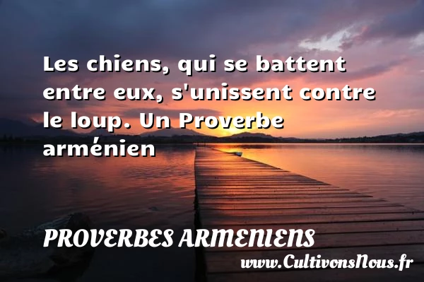 Les chiens, qui se battent entre eux, s’unissent contre - Proverbes armeniens - Proverbes philosophiques