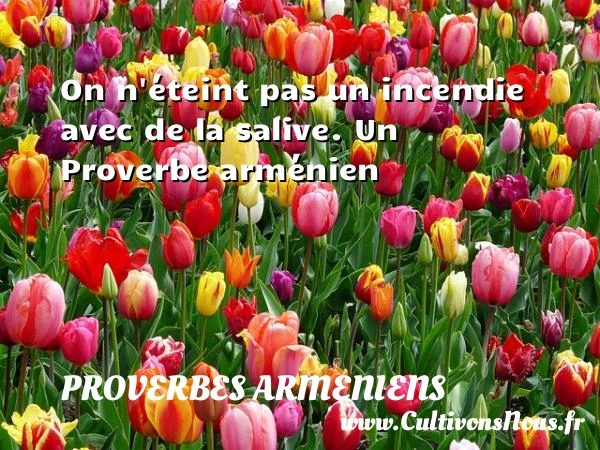 On n’éteint pas un incendie avec de la - Proverbes armeniens - Proverbes philosophiques