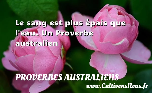 Le sang est plus épais que l’eau. - Proverbes australiens - Proverbes philosophiques
