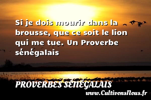 Si je dois mourir dans la brousse, que ce soit - Proverbes sénégalais - Proverbes fun - Proverbes philosophiques