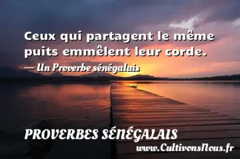 Ceux qui partagent le même puits emmêlent leur corde. - Un Proverbe sénégalais PROVERBES SÉNÉGALAIS