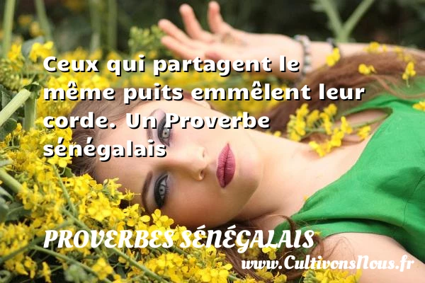 Ceux qui partagent le même puits emmêlent leur - Proverbes sénégalais - Proverbes philosophiques