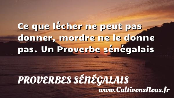 Ce que lécher ne peut pas donner, mordre ne - Proverbes sénégalais - Proverbes philosophiques