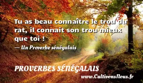 Tu as beau connaître le trou du rat, il connait son trou mieux que toi ! - Un Proverbe sénégalais PROVERBES SÉNÉGALAIS