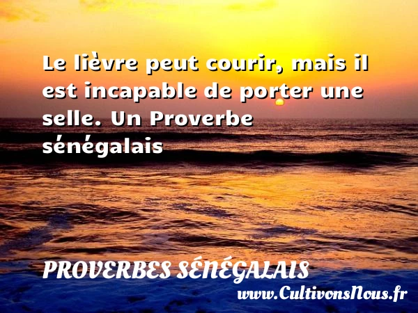 Le lièvre peut courir, mais il est incapable de - Proverbes sénégalais - Proverbes fun
