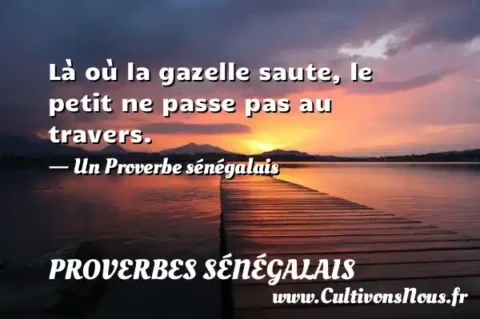 Là où la gazelle saute, le petit ne passe pas au travers. - Un Proverbe sénégalais PROVERBES SÉNÉGALAIS