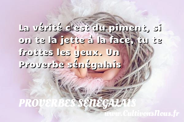 La vérité c’est du piment, si on te la jette à la face, tu - Proverbes sénégalais - Proverbes philosophiques