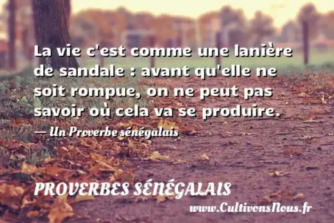 La vie c est comme une lanière de sandale : avant qu elle ne soit rompue, on ne peut pas savoir où cela va se produire. - Un Proverbe sénégalais PROVERBES SÉNÉGALAIS