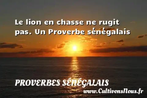 Le lion en chasse ne rugit pas. Un Proverbe sénégalais PROVERBES SÉNÉGALAIS