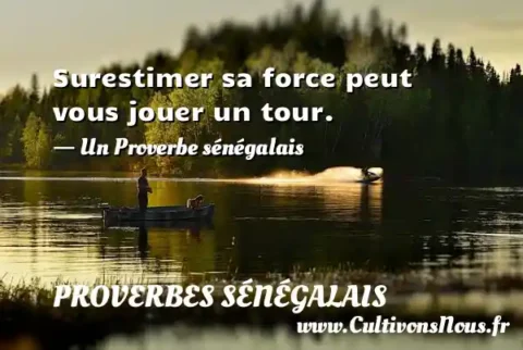 Surestimer sa force peut vous jouer un tour. - Un Proverbe sénégalais PROVERBES SÉNÉGALAIS