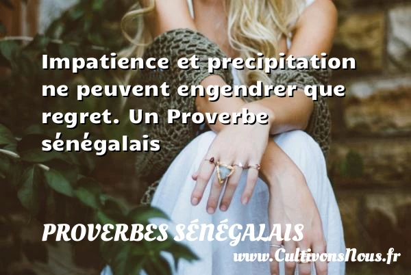 Impatience et precipitation ne peuvent engendrer que regret. - Proverbes sénégalais - Proverbe regret