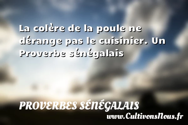 La colère de la poule ne dérange pas le - Proverbes sénégalais - Proverbe colère