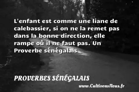 L enfant est comme une liane de calebassier, si on ne la remet pas dans la bonne direction, elle rampe où il ne faut pas. Un Proverbe sénégalais PROVERBES SÉNÉGALAIS