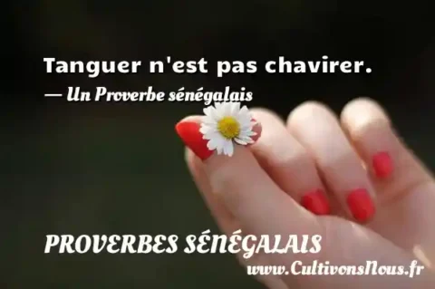 Tanguer n est pas chavirer. - Un Proverbe sénégalais PROVERBES SÉNÉGALAIS